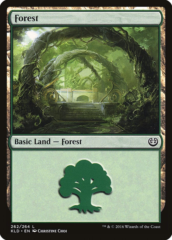 Forest (262) [Kaladesh] Magic: The Gathering