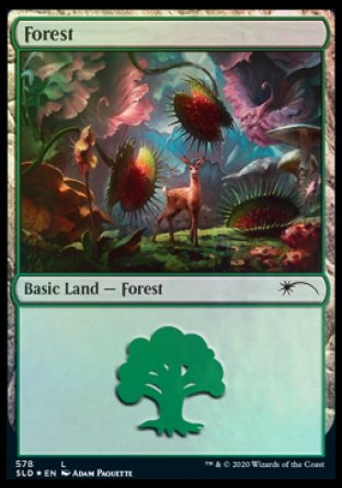 Forest (Predatory) (578) [Secret Lair Drop Promos] Magic: The Gathering