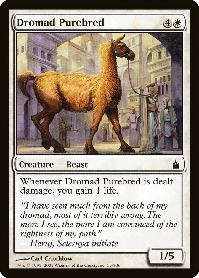 Dromad Purebred [Ravnica: City of Guilds] Magic: The Gathering