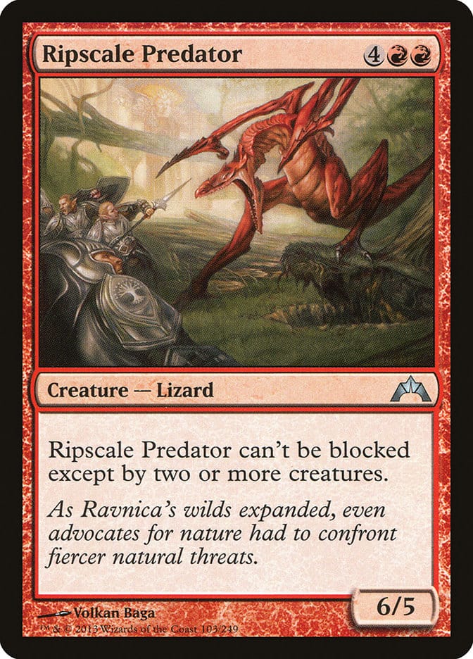 Ripscale Predator [Gatecrash] Magic: The Gathering