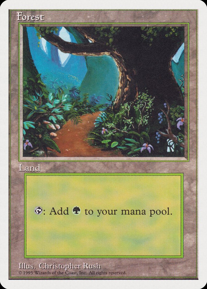 Forest (Dirt Path) [Rivals Quick Start Set] Magic: The Gathering
