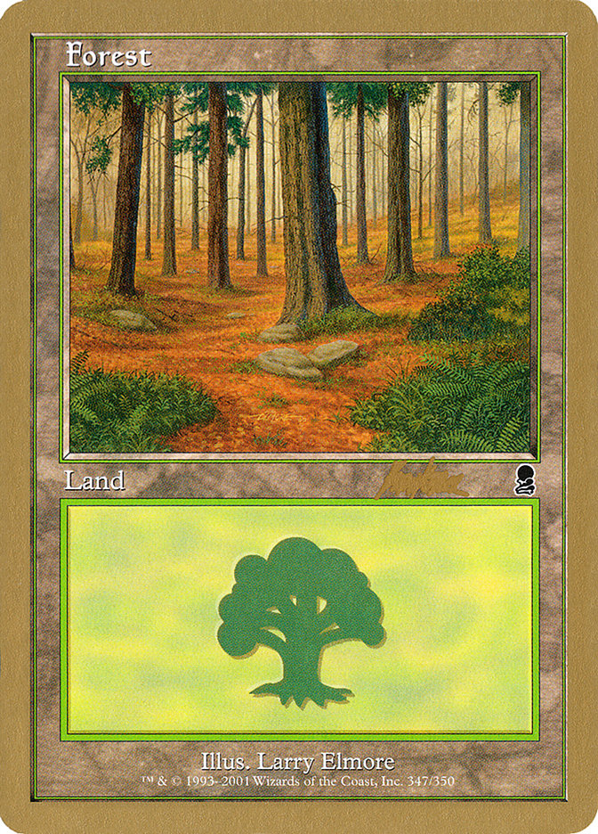 Forest (bk347) (Brian Kibler) [World Championship Decks 2002] Magic: The Gathering