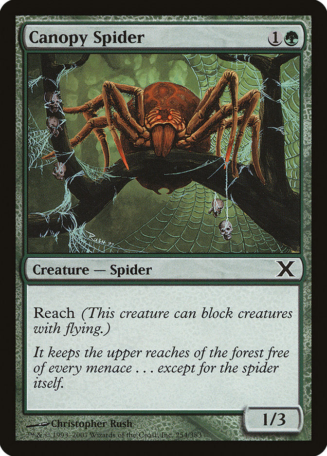 Canopy Spider [Tenth Edition] Magic: The Gathering