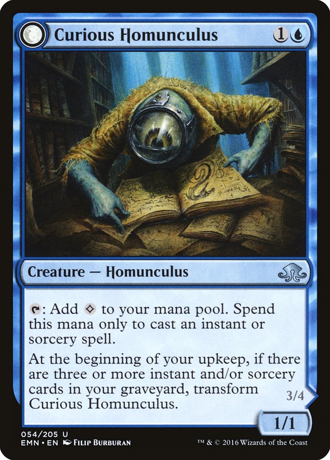 Curious Homunculus // Voracious Reader [Eldritch Moon] Magic: The Gathering
