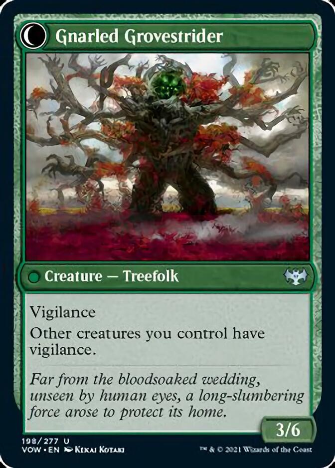 Dormant Grove // Gnarled Grovestrider [Innistrad: Crimson Vow] Magic: The Gathering