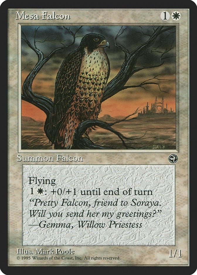 Mesa Falcon (Gemma Flavor Text) [Homelands] Magic: The Gathering