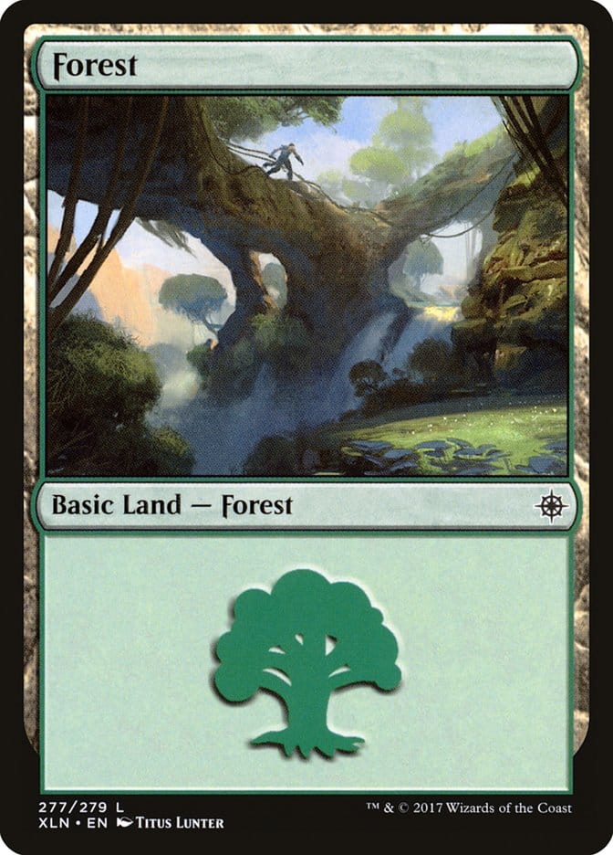 Forest (277) [Ixalan] Magic: The Gathering