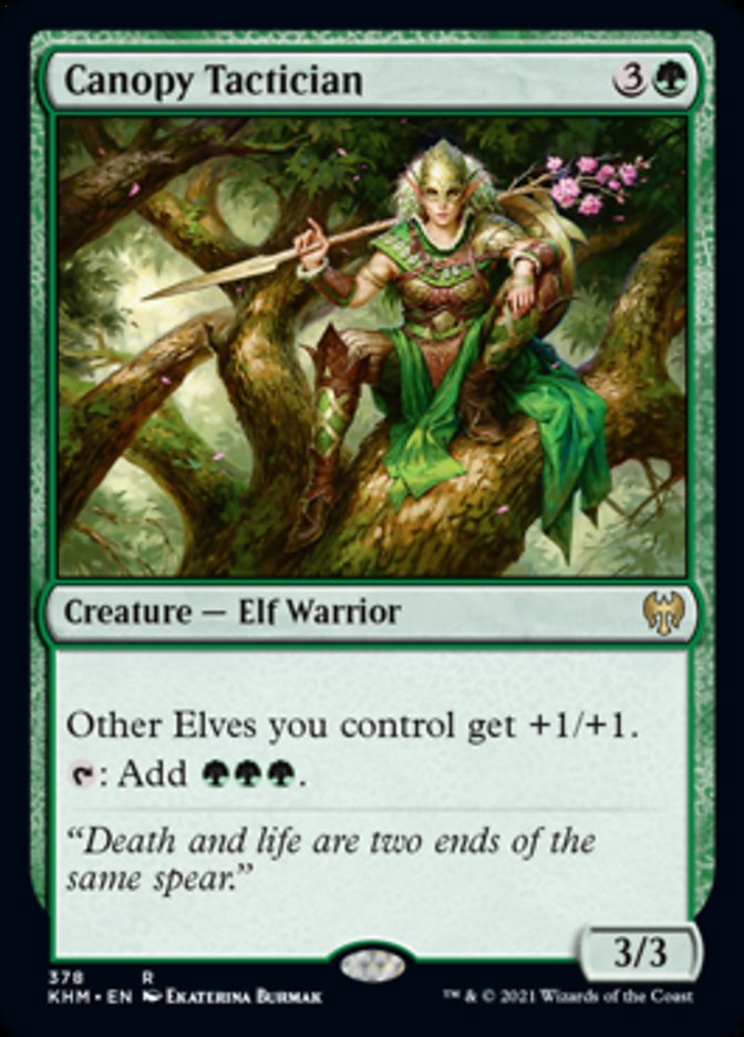 Canopy Tactician [Kaldheim] Magic: The Gathering