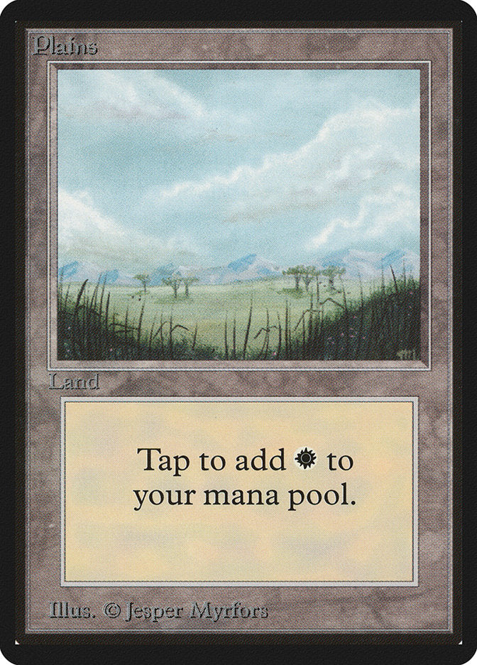 Plains (289) [Beta Edition] Magic: The Gathering