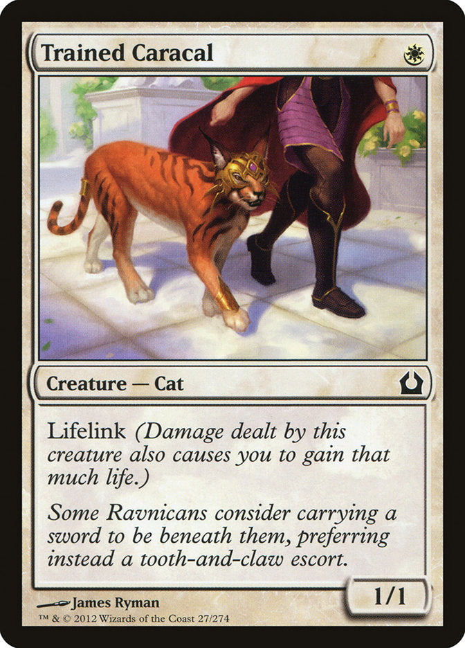 Trained Caracal [Return to Ravnica] Magic: The Gathering