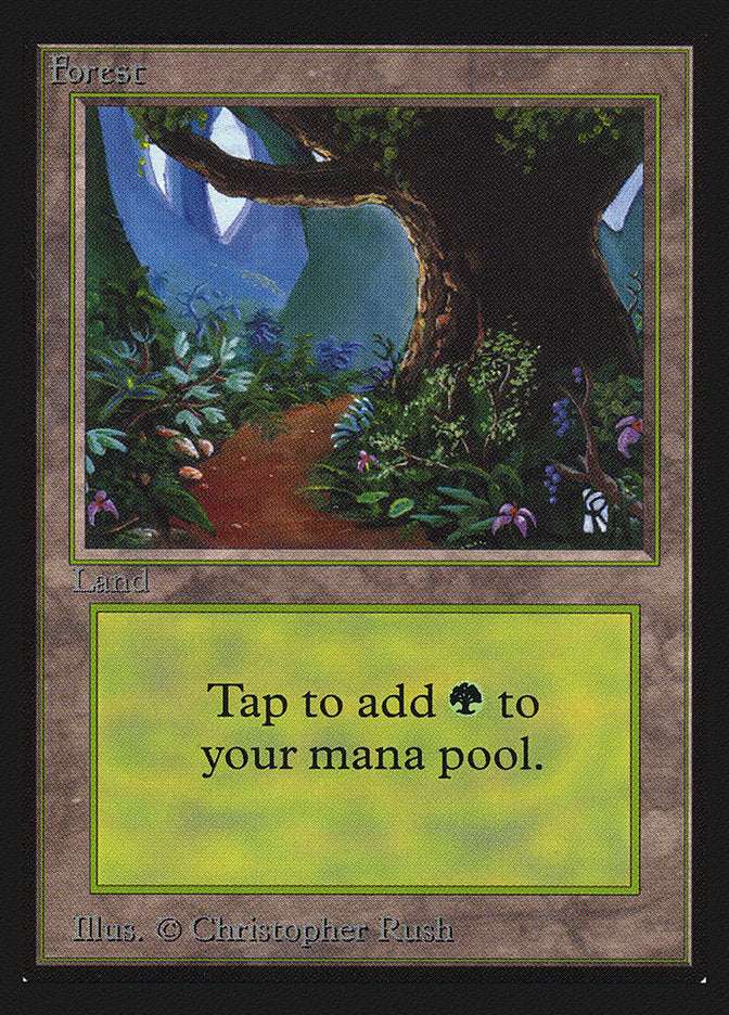 Forest (Flower Path) [Collectors' Edition] Magic: The Gathering