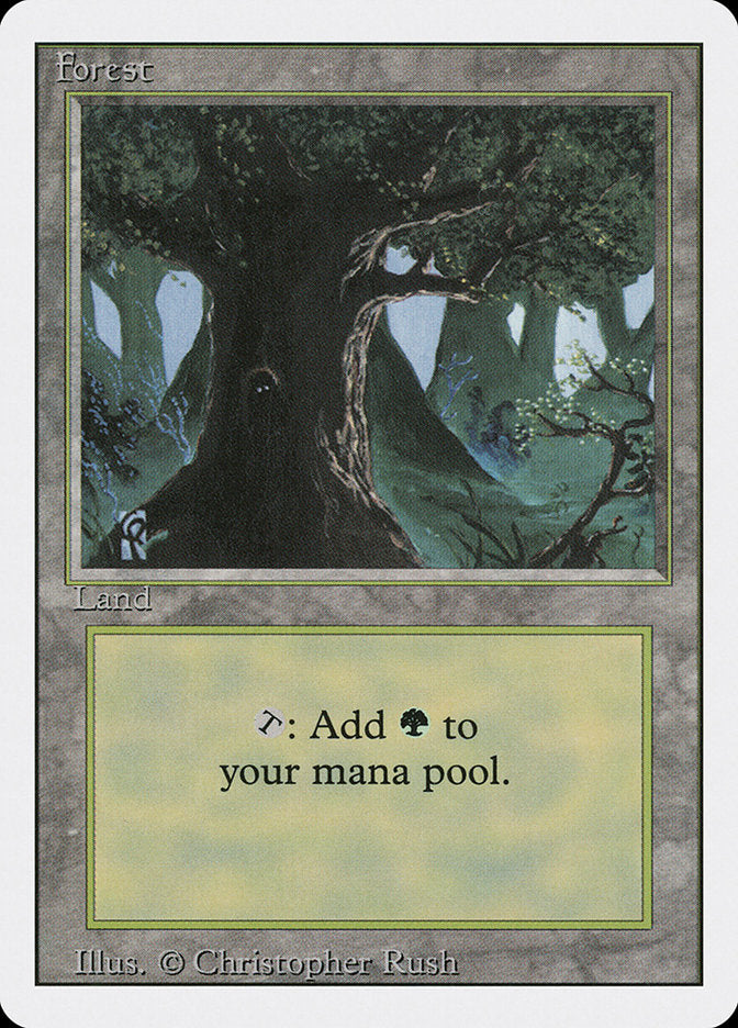 Forest (Eyes in Tree) [Revised Edition] Magic: The Gathering