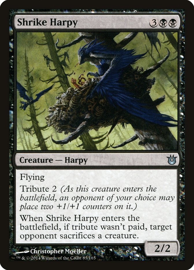 Shrike Harpy [Born of the Gods] Magic: The Gathering