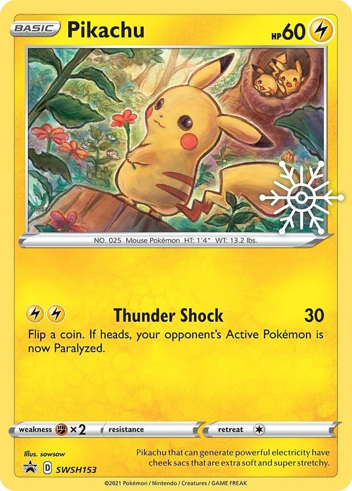 Pikachu (SWSH153) (Holiday Calendar) [Sword & Shield: Black Star Promos] Pokémon