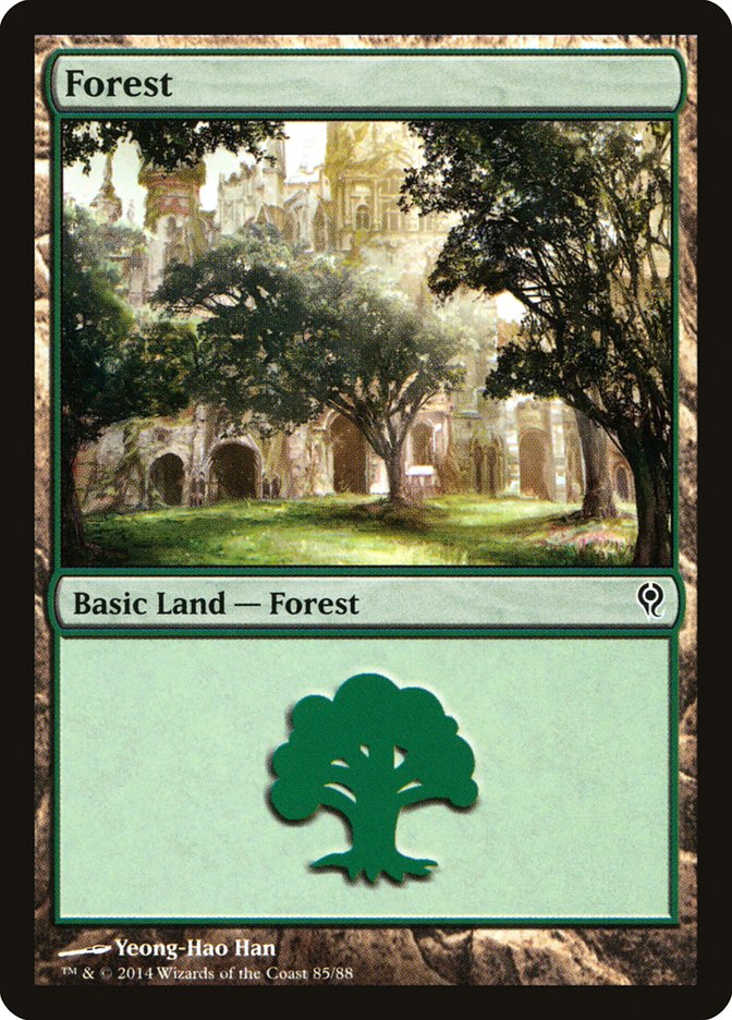 Forest (85) [Duel Decks: Jace vs. Vraska] Magic: The Gathering