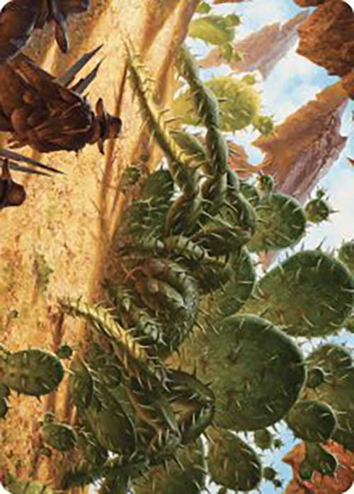 Cactarantula Art Card [Outlaws of Thunder Junction Art Series] Magic: The Gathering