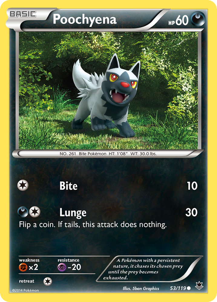 Poochyena (53/119) [XY: Phantom Forces] Pokémon