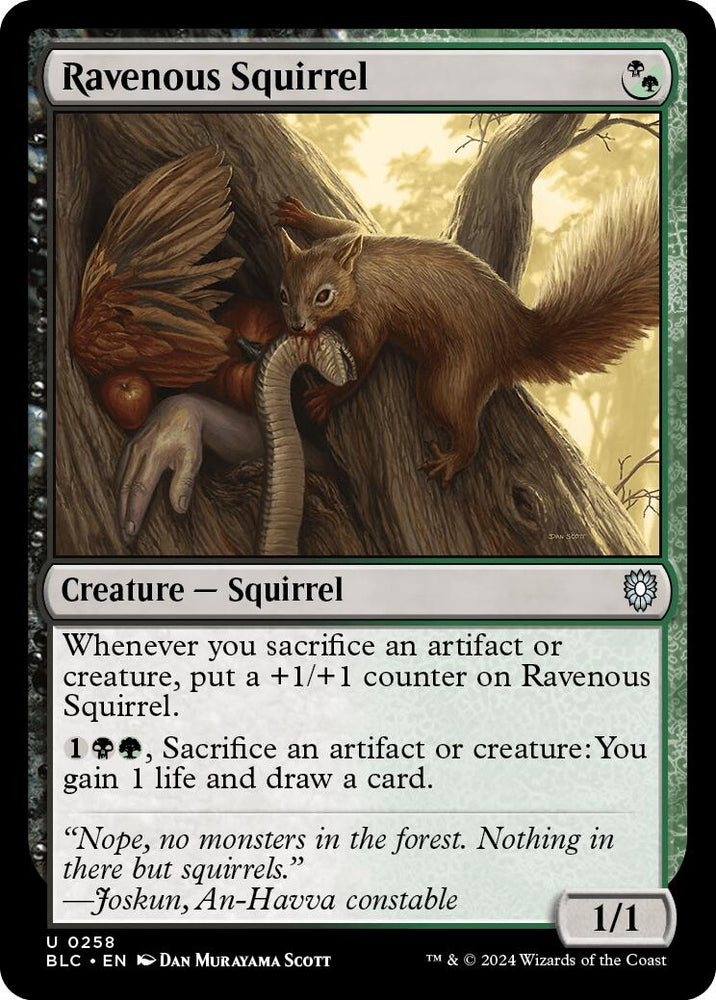 Ravenous Squirrel [Bloomburrow Commander] Magic: The Gathering