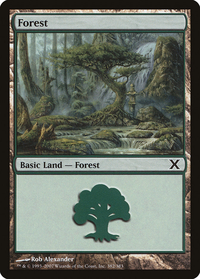 Forest (382) [Tenth Edition] Magic: The Gathering