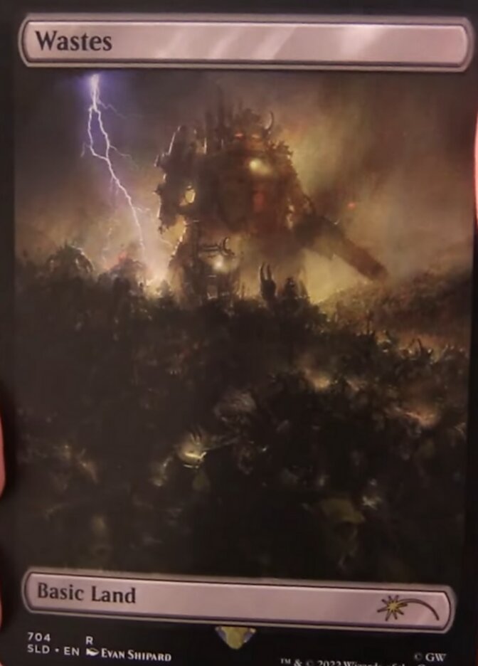 Wastes (704) (Extended Art) [Secret Lair Drop Promos] Magic: The Gathering
