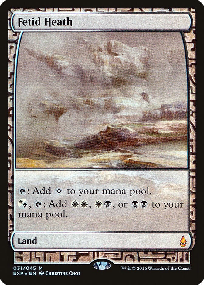 Fetid Heath [Zendikar Expeditions] Magic: The Gathering