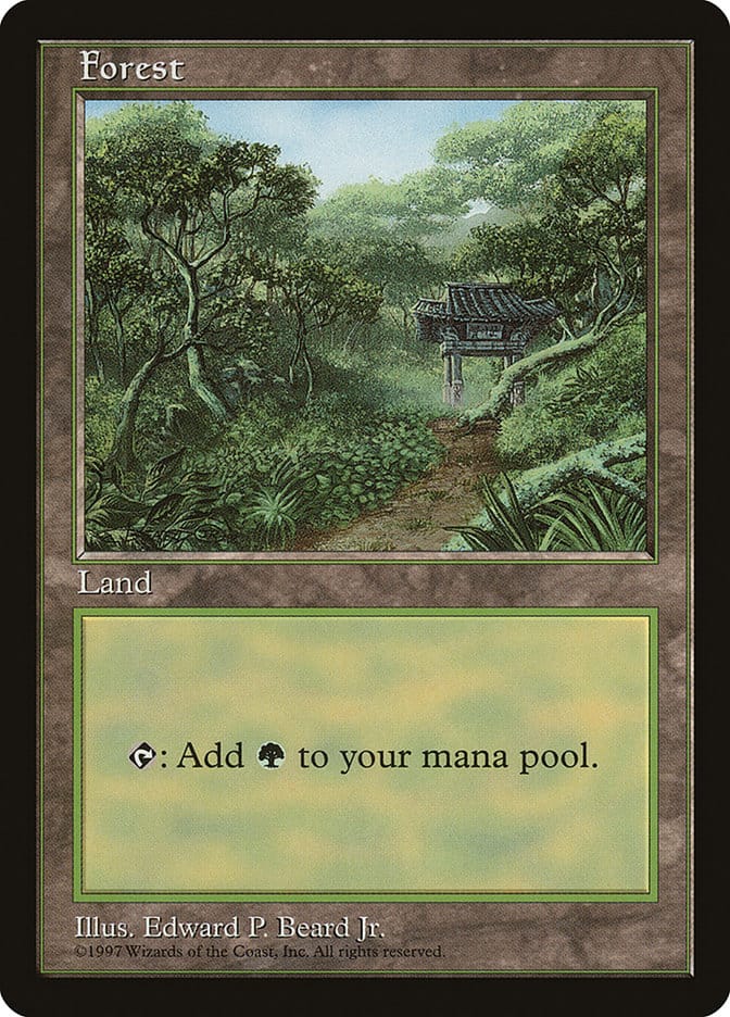 Forest (11) [Asia Pacific Land Program] Magic: The Gathering