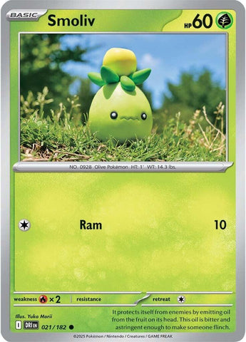 Smoliv (021/182) [Scarlet & Violet: Destined Rivals] - Pokemon Cards For Your TCG Needs! Pokémon