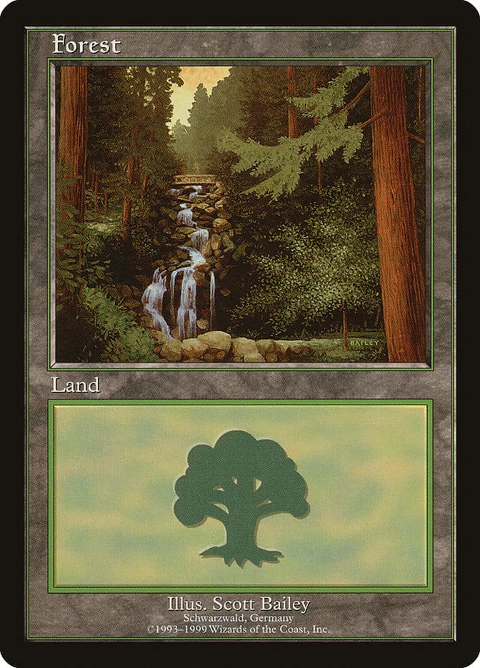 Forest (1) [European Land Program] Magic: The Gathering