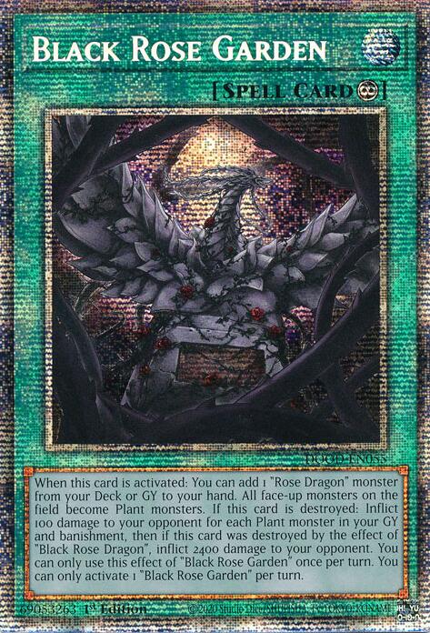 Black Rose Garden (Starlight Rare) [DOOD-EN055] Starlight Rare Yu-Gi-Oh!