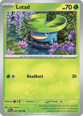 Lotad (005/094) [Mega Evolution: Phantasmal Flames] - Pokemon Cards For Your TCG Needs!