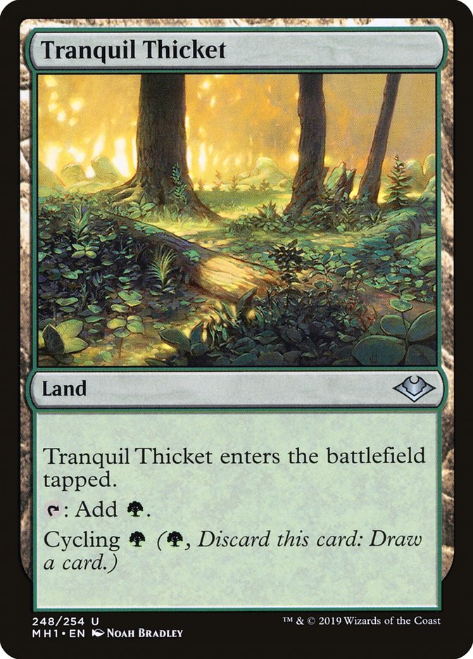 Tranquil Thicket [Modern Horizons] Magic: The Gathering