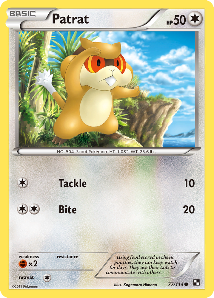 Patrat (77/114) [Black & White: Base Set] Pokémon