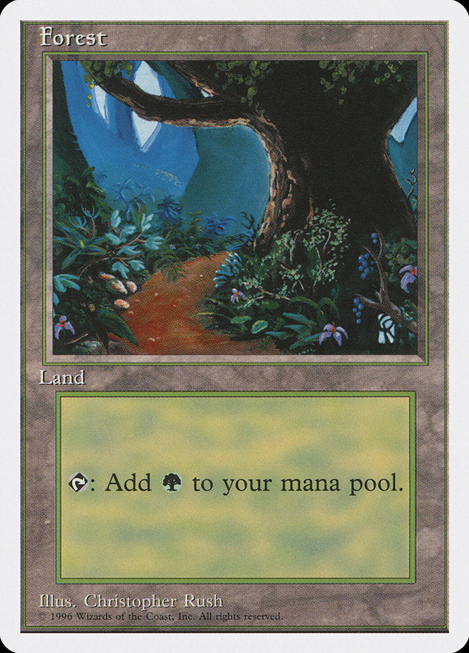 Forest (Dirt Path) [Introductory Two-Player Set] Magic: The Gathering