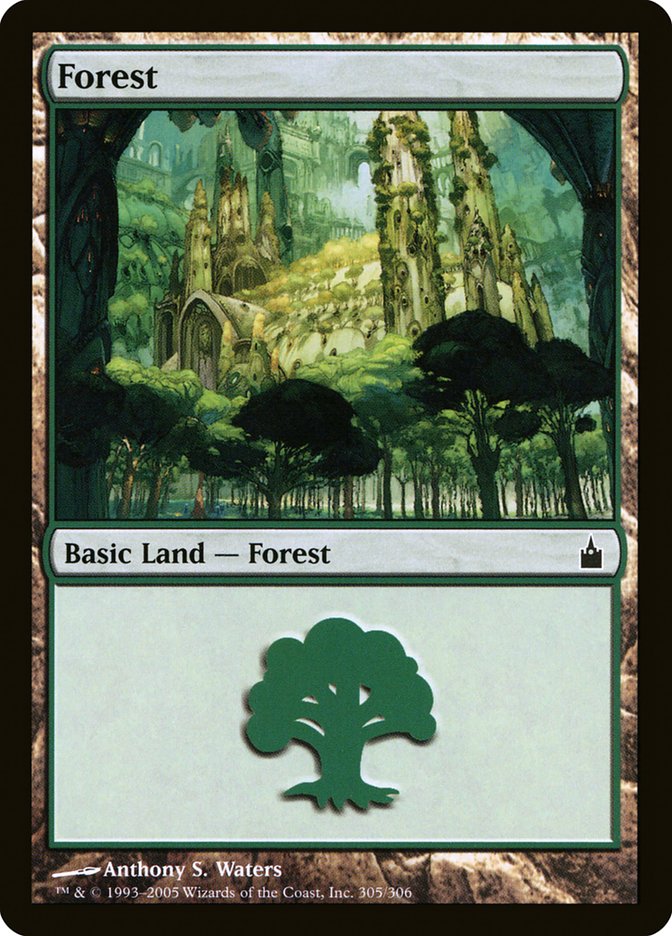 Forest (305) [Ravnica: City of Guilds] Magic: The Gathering