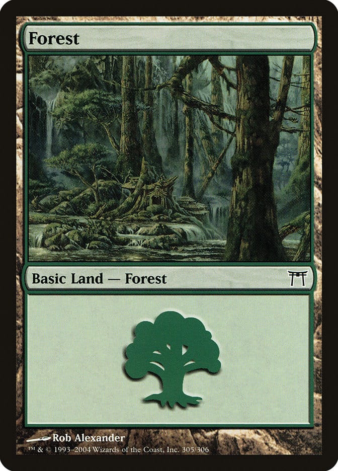Forest (305) [Champions of Kamigawa] Magic: The Gathering