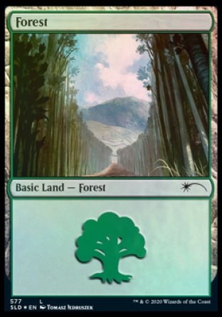 Forest (Walls) (577) [Secret Lair Drop Promos] Magic: The Gathering