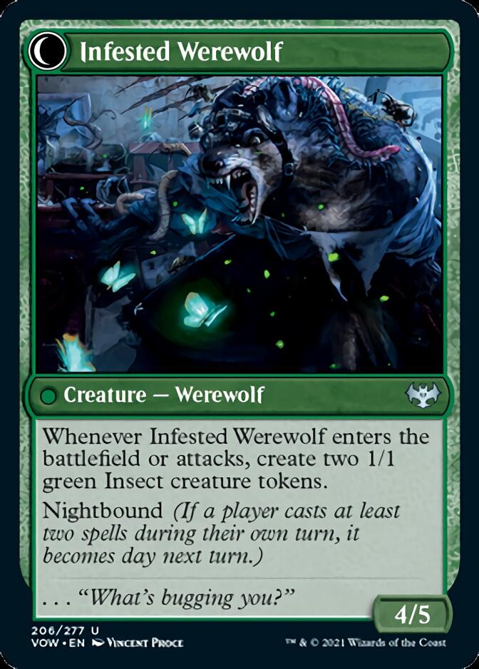 Infestation Expert // Infested Werewolf [Innistrad: Crimson Vow] Magic: The Gathering