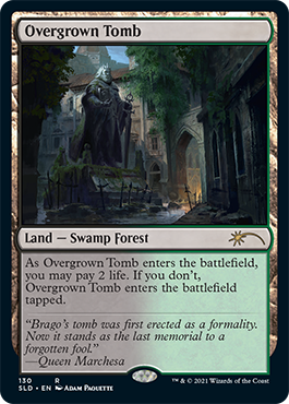 Overgrown Tomb [Secret Lair Drop Series] Magic: The Gathering