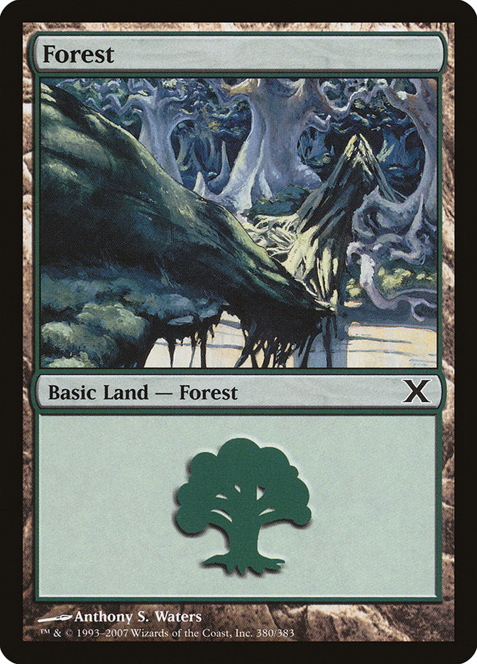Forest (380) [Tenth Edition] Magic: The Gathering