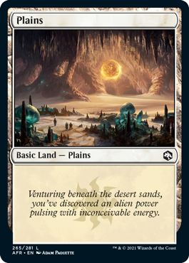 Plains (265) [Dungeons & Dragons: Adventures in the Forgotten Realms] Magic: The Gathering