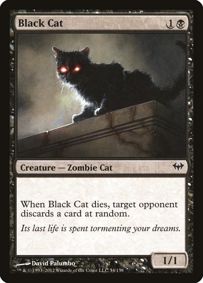 Black Cat [Dark Ascension] Magic: The Gathering
