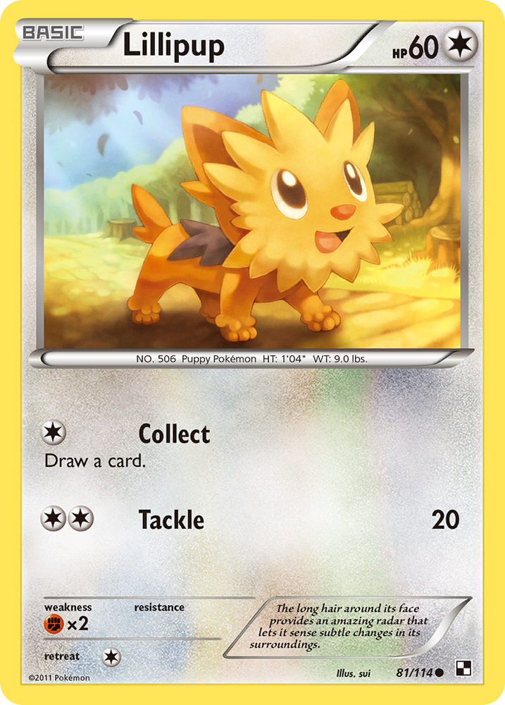 Lillipup (81/114) [Black & White: Base Set] Pokémon