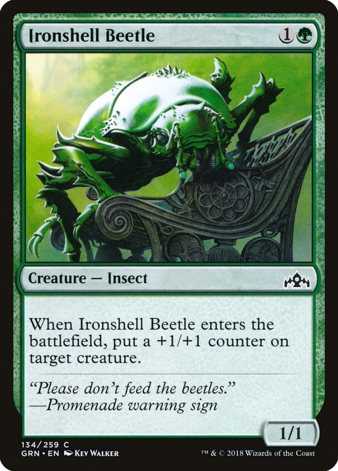 Ironshell Beetle [Guilds of Ravnica] Magic: The Gathering