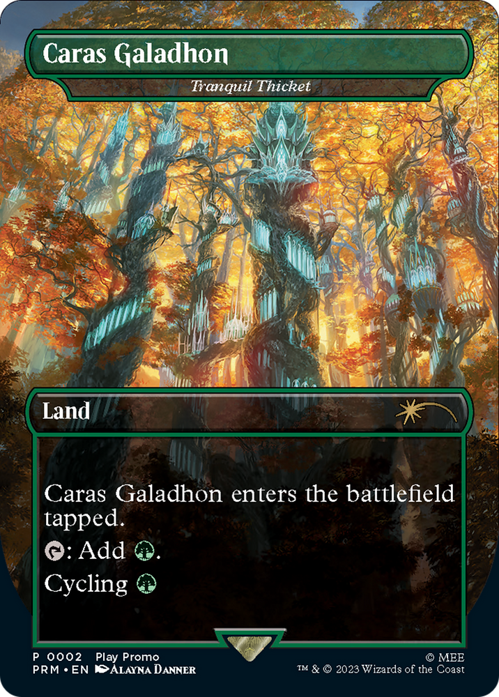 Tranquil Thicket - Caras Galadhon (Borderless) [Wizards Play Network 2023] Magic: The Gathering