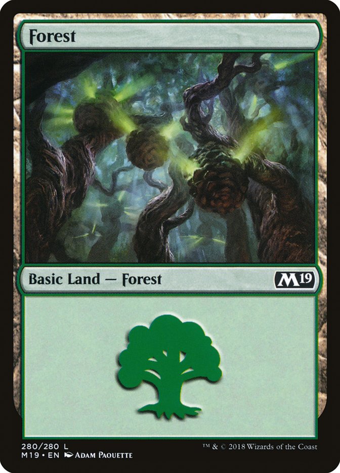 Forest (280) [Core Set 2019] Magic: The Gathering