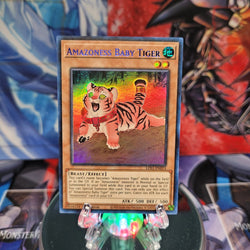 An Ultra Rare Blue "Amazoness Baby Tiger" card from the Yugioh Set: Legendary Duelists: Season 1.