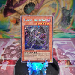 A Secret Rare "Blackwing - Elphin the Raven" card from the Yugioh 2009 Collector Tins.