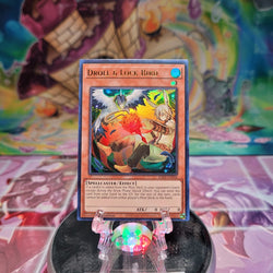 An Ultra Rare Alternate Art "Droll & Lock Bird" card from the Yugioh Set: Rarity Collection 2 (RA02).