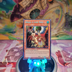 A Secret Rare "Droll & Lock Bird" card from the Yugioh Set: Rarity Collection 2 (RA02).