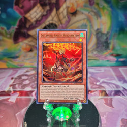 An Ultra Rare "Infernoble Knight Ricciardetto" card from the Yugioh Set: 25th Anniversary Tin: Dueling Mirrors.